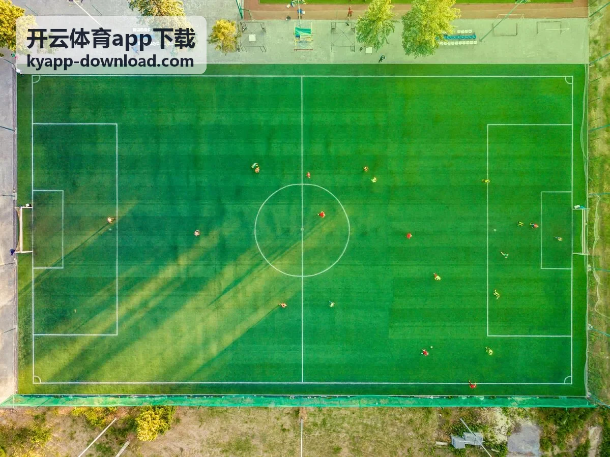 开云体育app下载界面预览